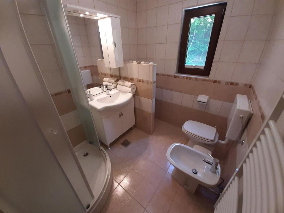 Apartament Tatiana Рогашка Слатина Экстерьер фото